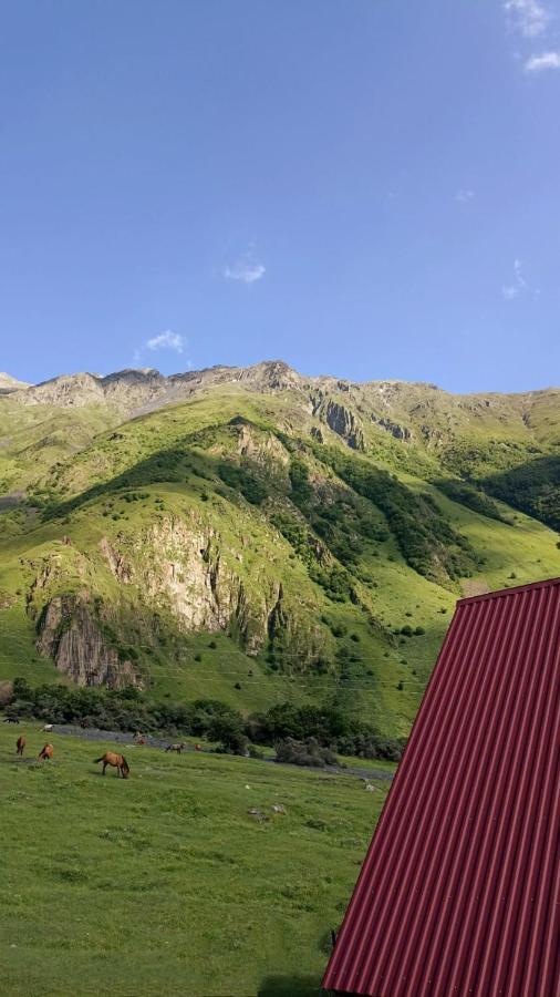 Mountain Flower Cottage カズベギ エクステリア 写真