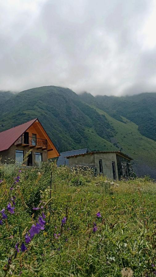 Mountain Flower Cottage カズベギ エクステリア 写真